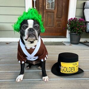 Dog Costume - Oompa Loompa - Size M